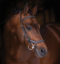 Rambo Micklem Deluxe Competition Bridle With Reins