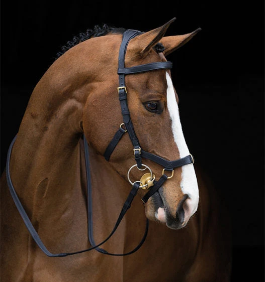 Rambo Micklem Multi Bridle - Image 3