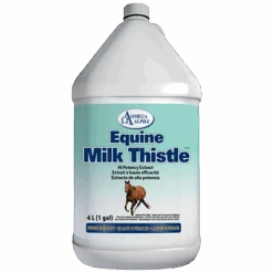 Omega Alpha Milk Thistle