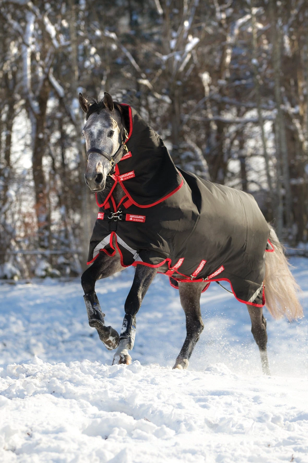 Rambo® Supreme With Vari-Layer Technology (Heavy 450g)