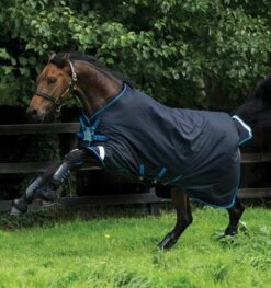 Amigo® Bravo 12 Original W/ Disc Front Closure (Lite 0g)