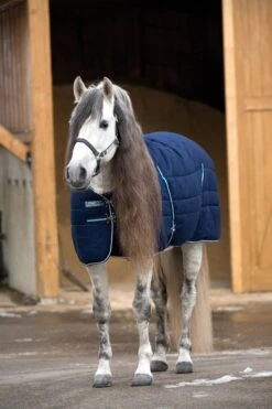 Rambo Stable Rug (200g Medium)