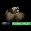 Mad Barn AminoTrace+
