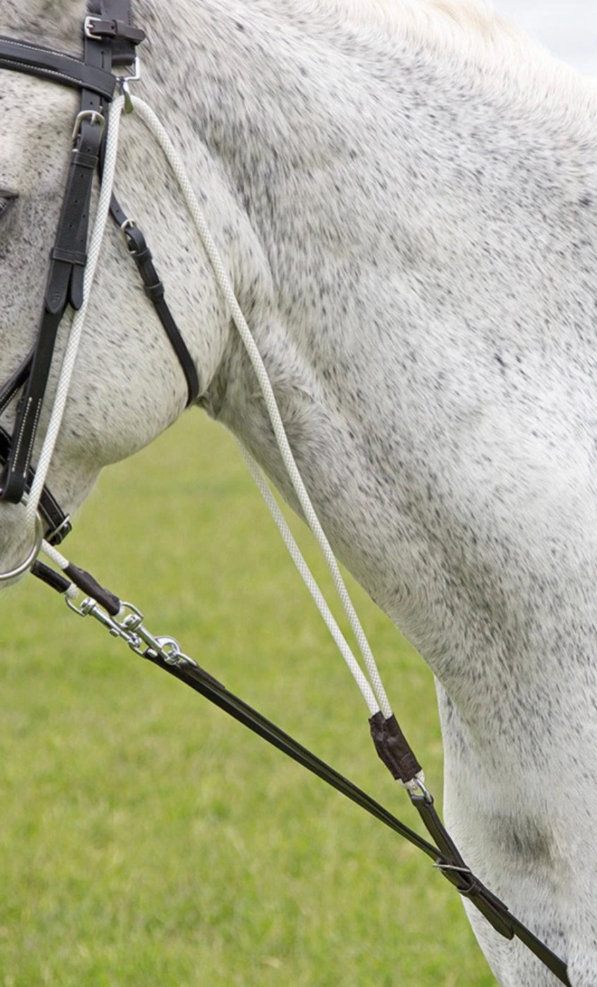 Shires DeGogue Training System - Image 2