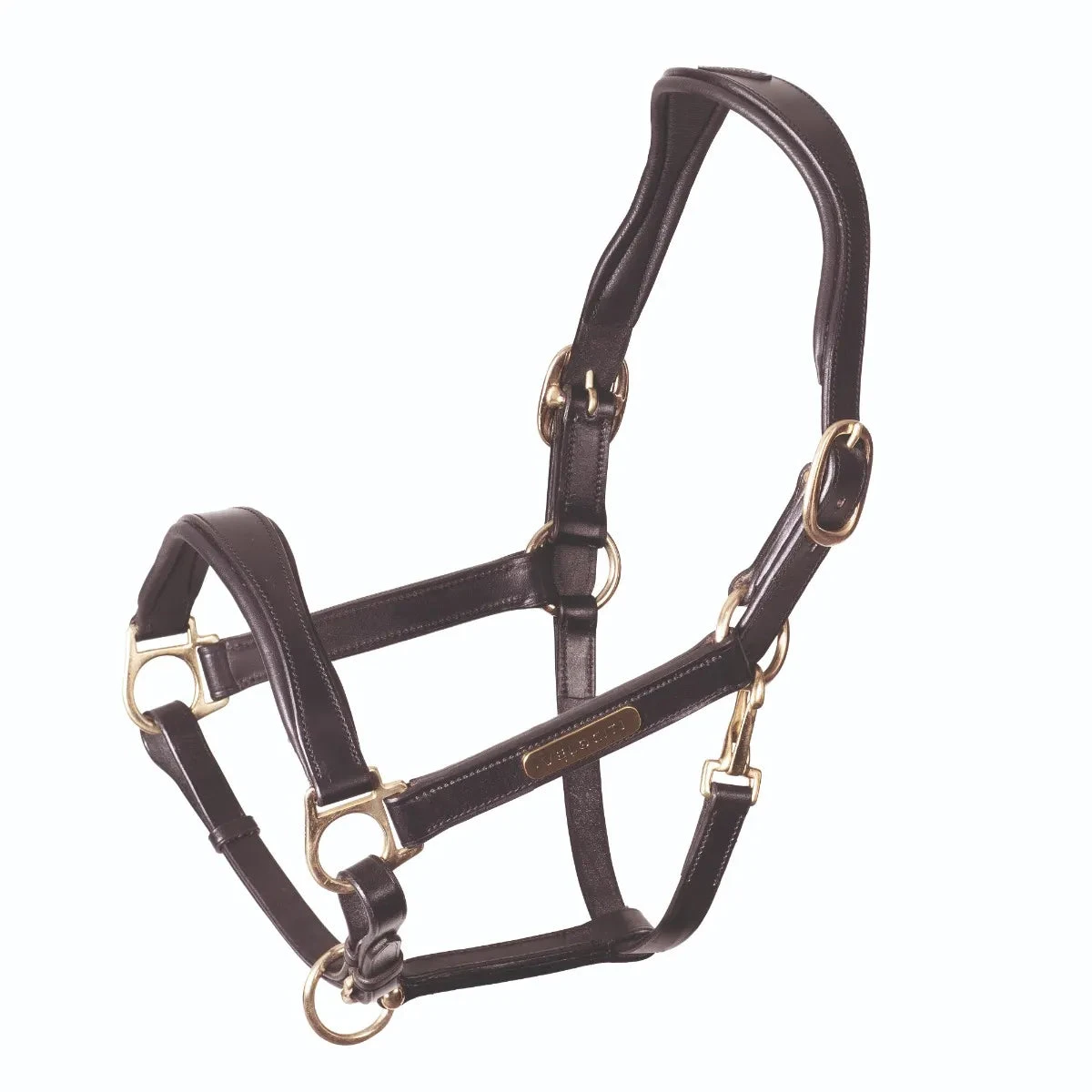 Shires Velociti Rapida Cushioned Leather Halter - Image 2