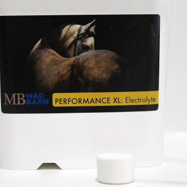 Mad Barn Performance XL: Electrolytes