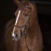 Rambo Micklem Competition Bridle With Reins