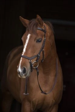 Rambo Micklem Competition Bridle With Reins