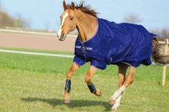 Amigo® Hero 900 Classic Turnout (200g Medium)