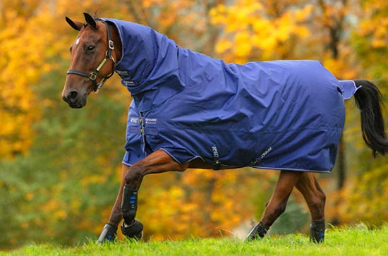 Amigo® Hero 900D Plus (200g Medium)