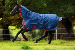 Mio® All-In-One Turnout (0g)