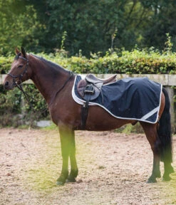 Amigo® Pony Competition Sheet (Quarter Sheet)