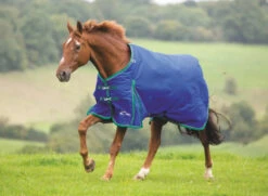 Shires Highlander 300g Turnout