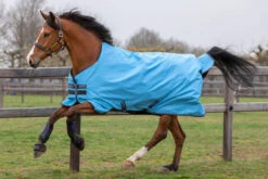 Amigo® Hero 900 Turnout Sheet (0g Lite)