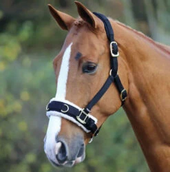 Shires Fleece Lunging Cavesson