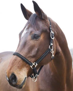 Horze Rhinestone Halter
