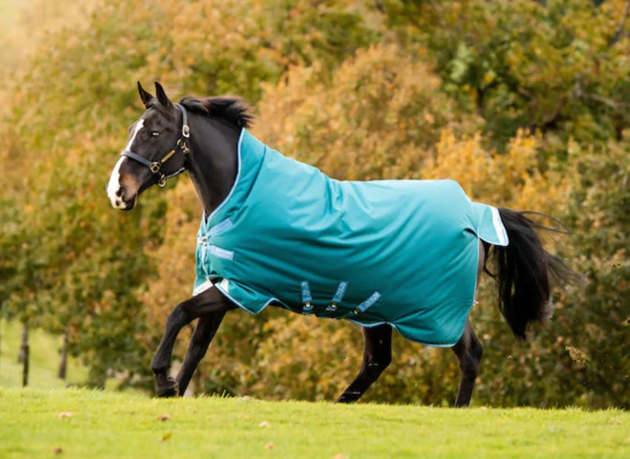 Amigo Bravo 12 Wug (400g Heavy)