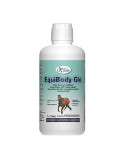 Omega Alpha EquiBody Glo