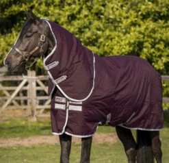 Amigo Hero 600D Ripstop Plus (Medium 200g)