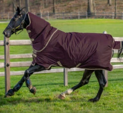 Amigo® Hero Ripstop Plus Turnout Sheet (0g Fill)