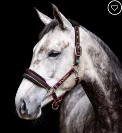 Horseware Rambo® Padded Halter