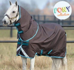 Amigo Bravo 12 Pony Plus (0g Lite)