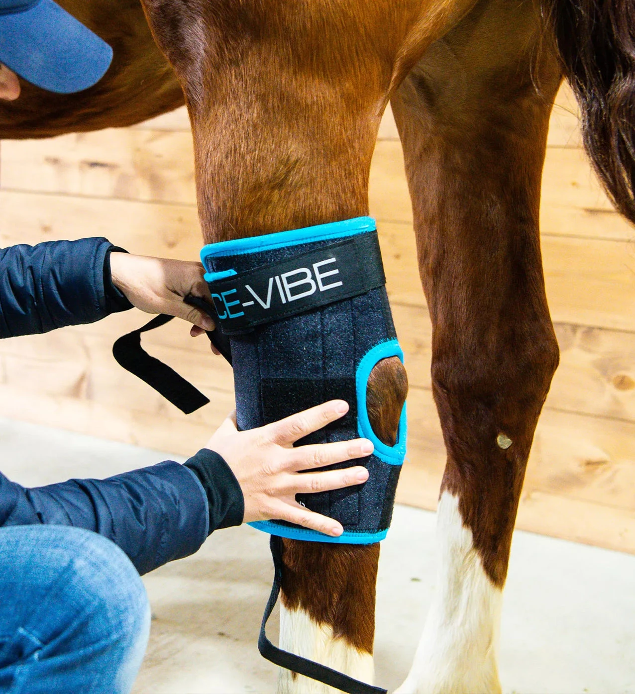 Horseware ICE-VIBE® Hock Wrap - Image 3