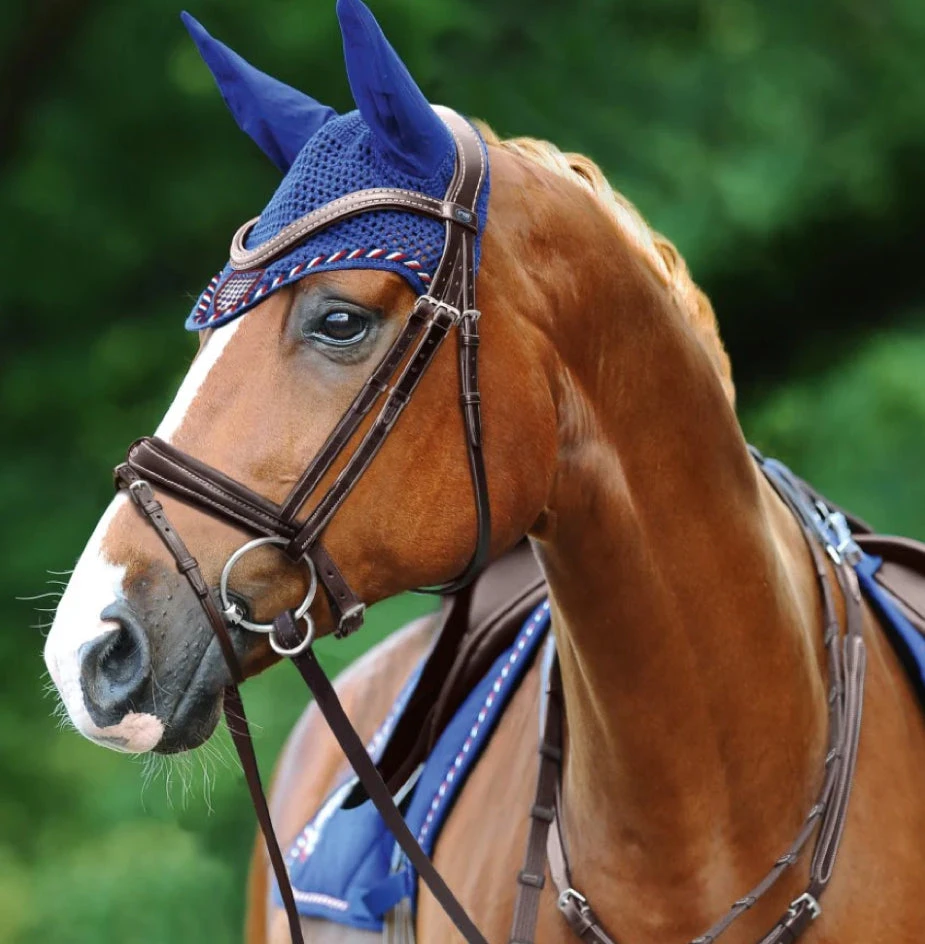 Passier No Limits Snaffle Bridle - Image 2