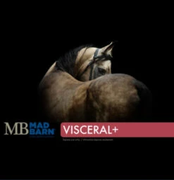 Mad Barn Visceral+