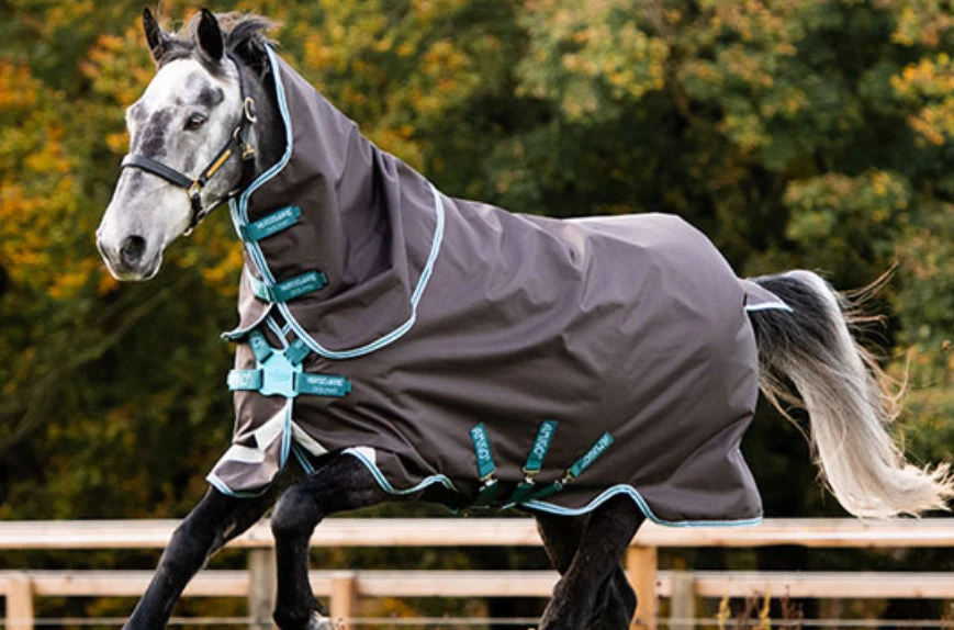 Amigo® Bravo 12 Plus W/ Front Disc Closure (0g Lite)