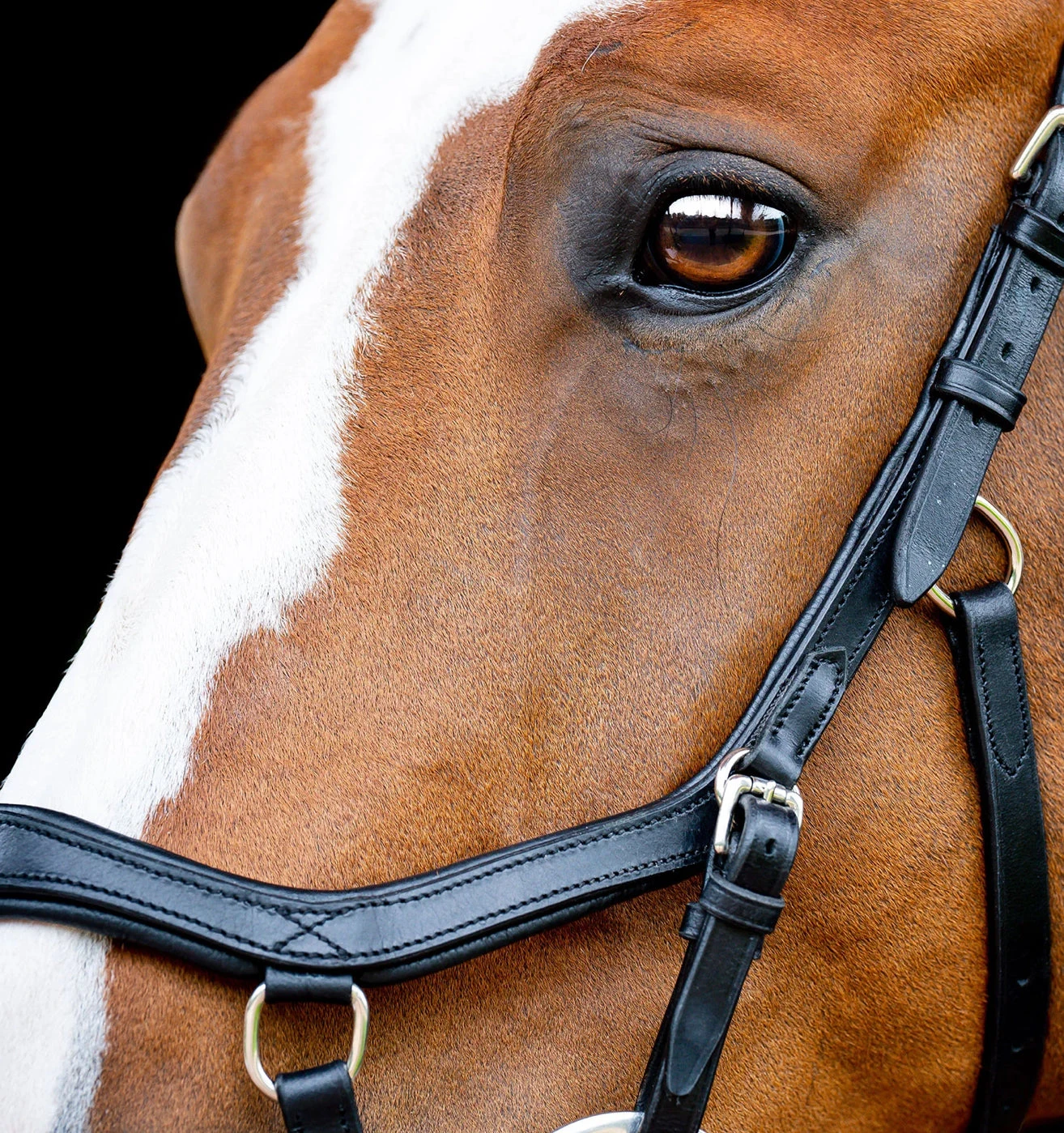 Rambo Micklem 2 Competition Bridle - Image 4