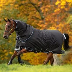 Amigo® Bravo 12 Plus Turnout (250g Medium)