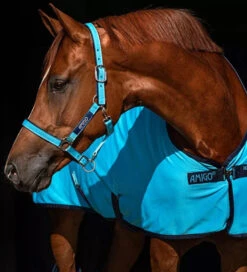 Horseware Amigo® Halter