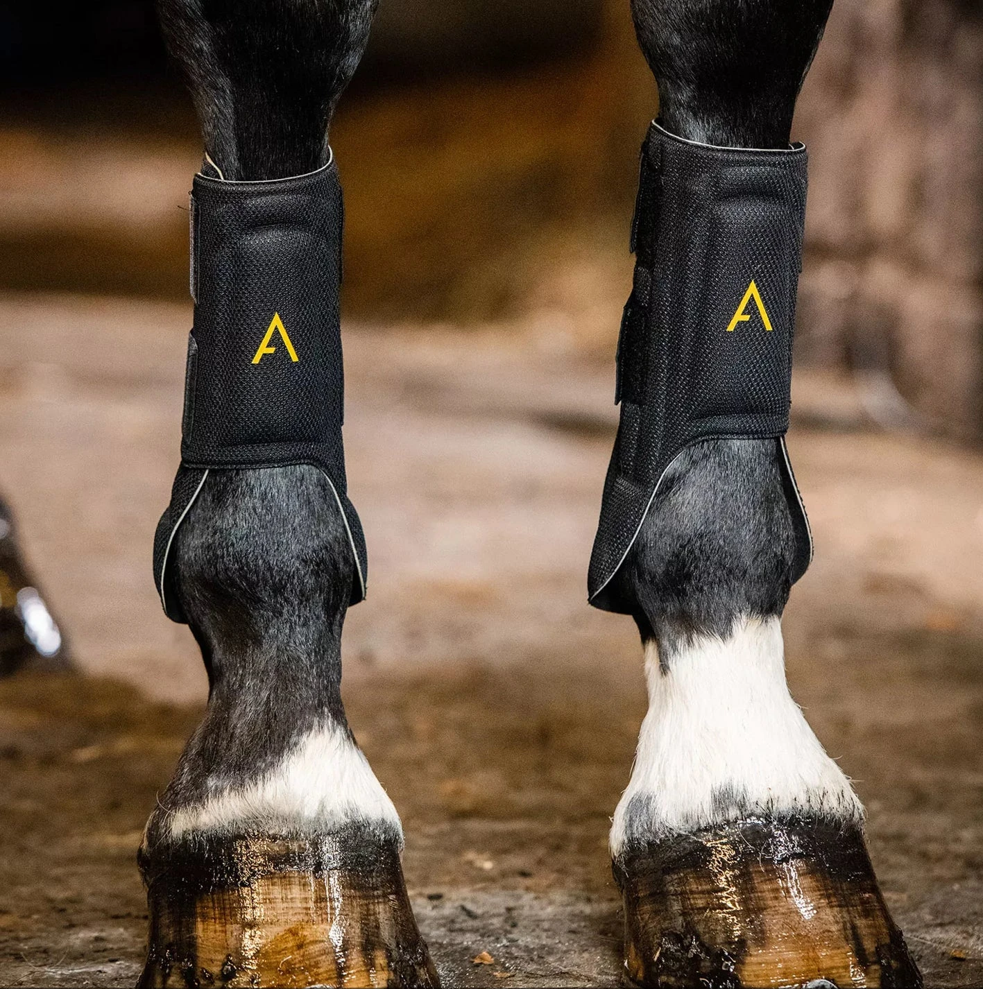 Adagio By Horseware Tendon Boots - Image 2