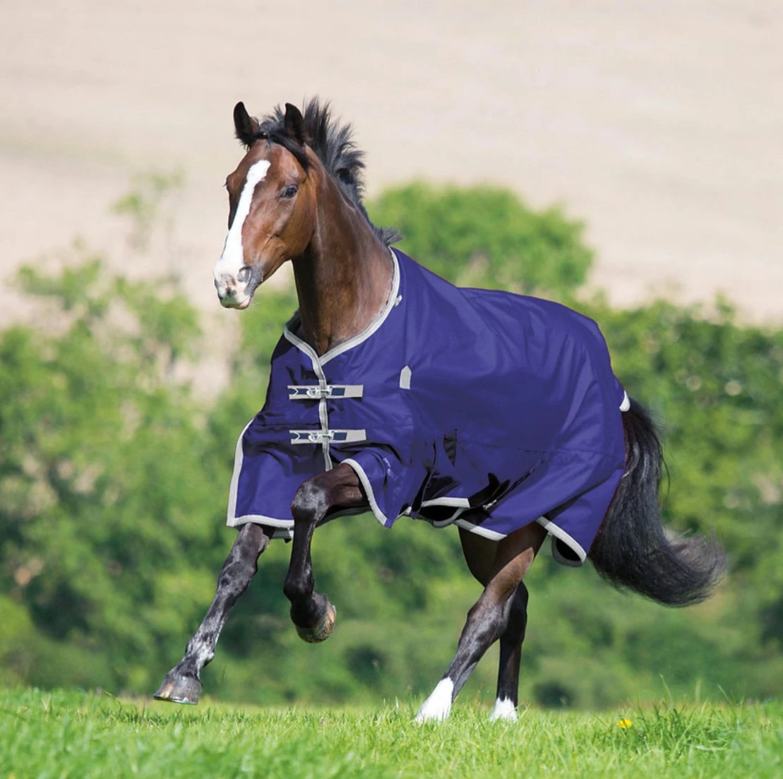 Shires Tempest 1200D Rain Sheet