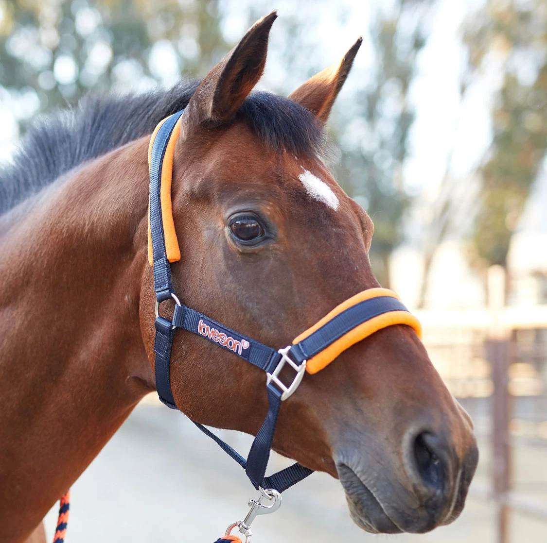 Horseware Loveson Pony Halter