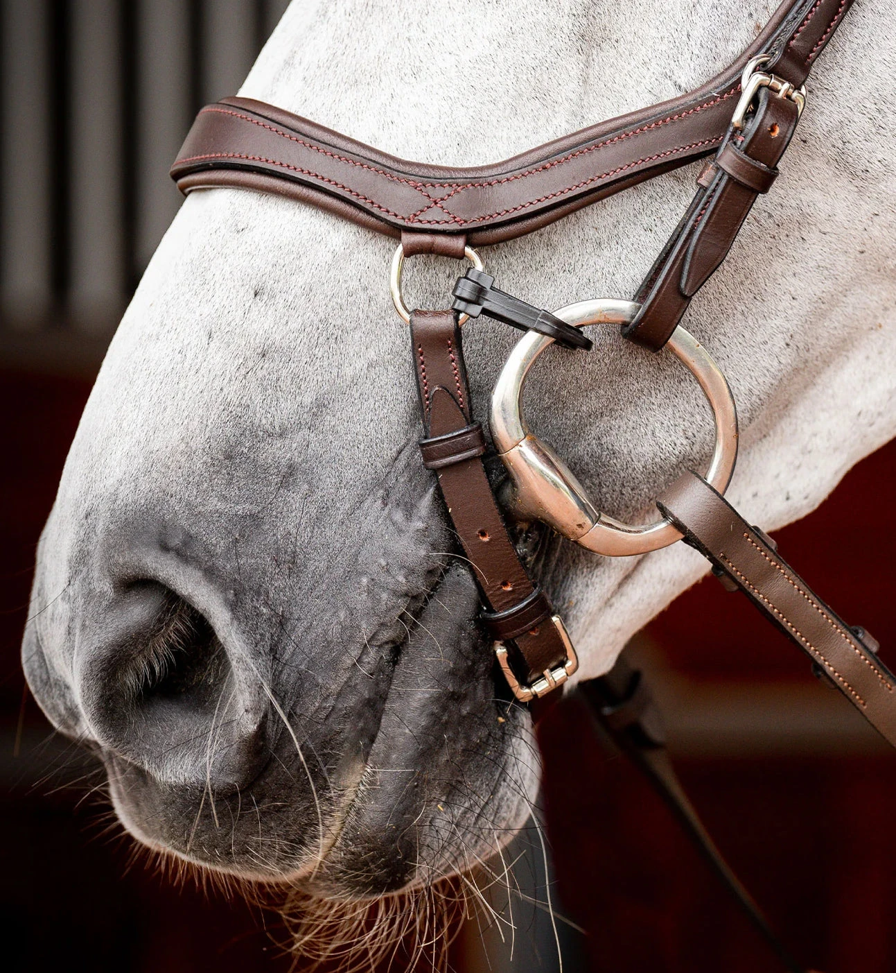 Rambo Micklem 2 Competition Bridle - Image 2