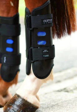 Dalmar Eventer Hind Boots