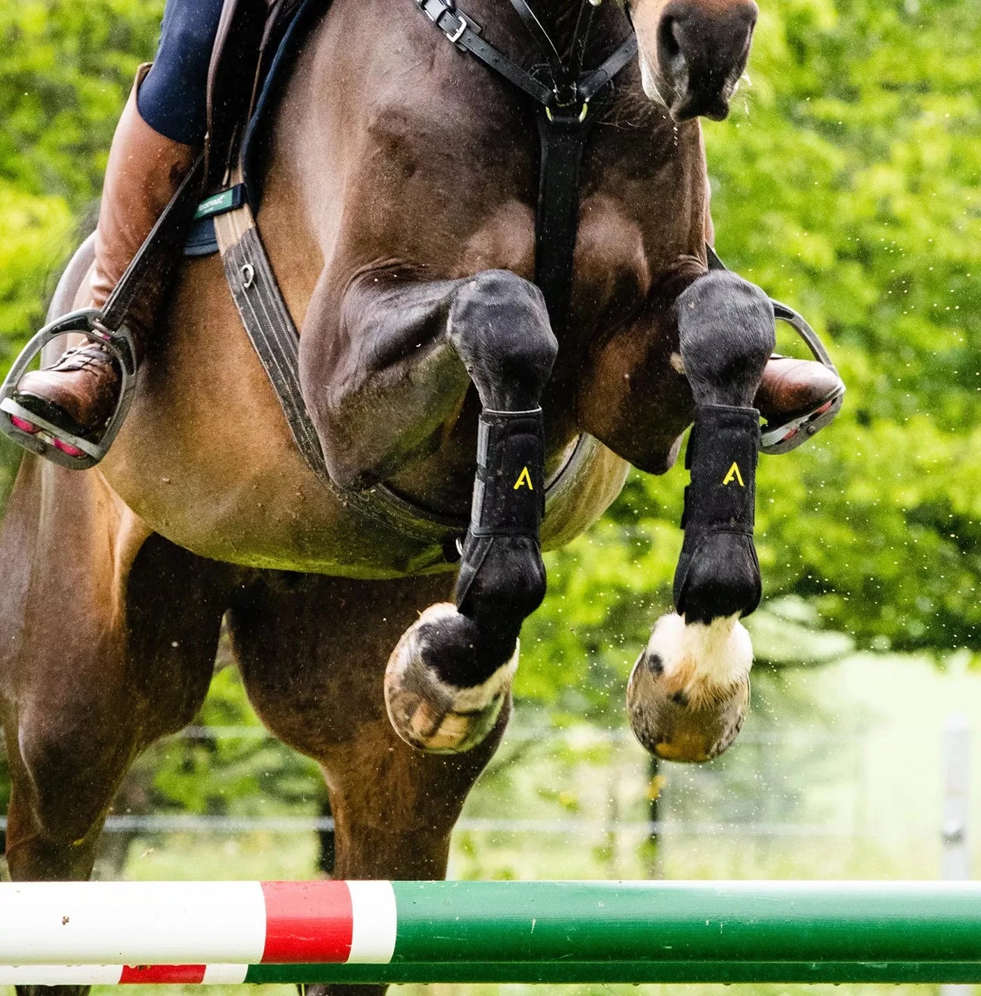 Adagio By Horseware Tendon Boots - Image 3