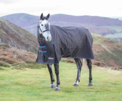 Shires Highlander 200g Winter Turnout