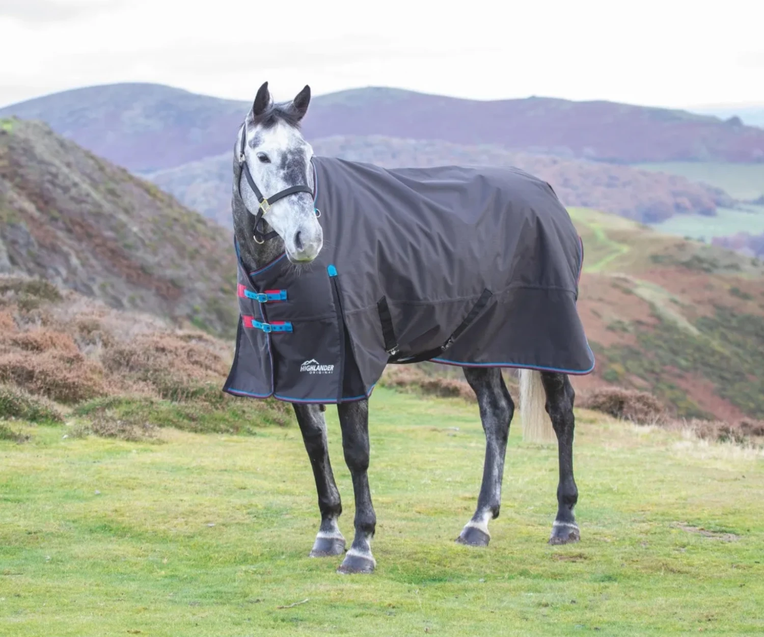Shires Highlander 200g Winter Turnout