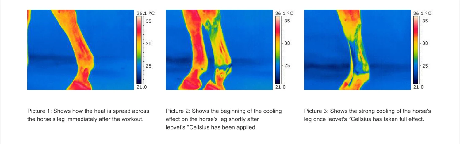 Leovet *Cellsius Gel For Horses - Image 2