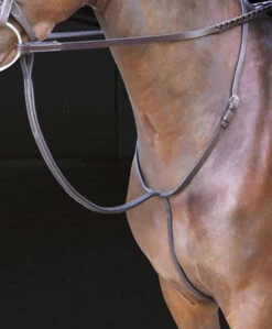 Shires Rossano Standing Martingale