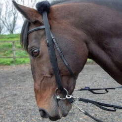 Shires Lunging Adapter