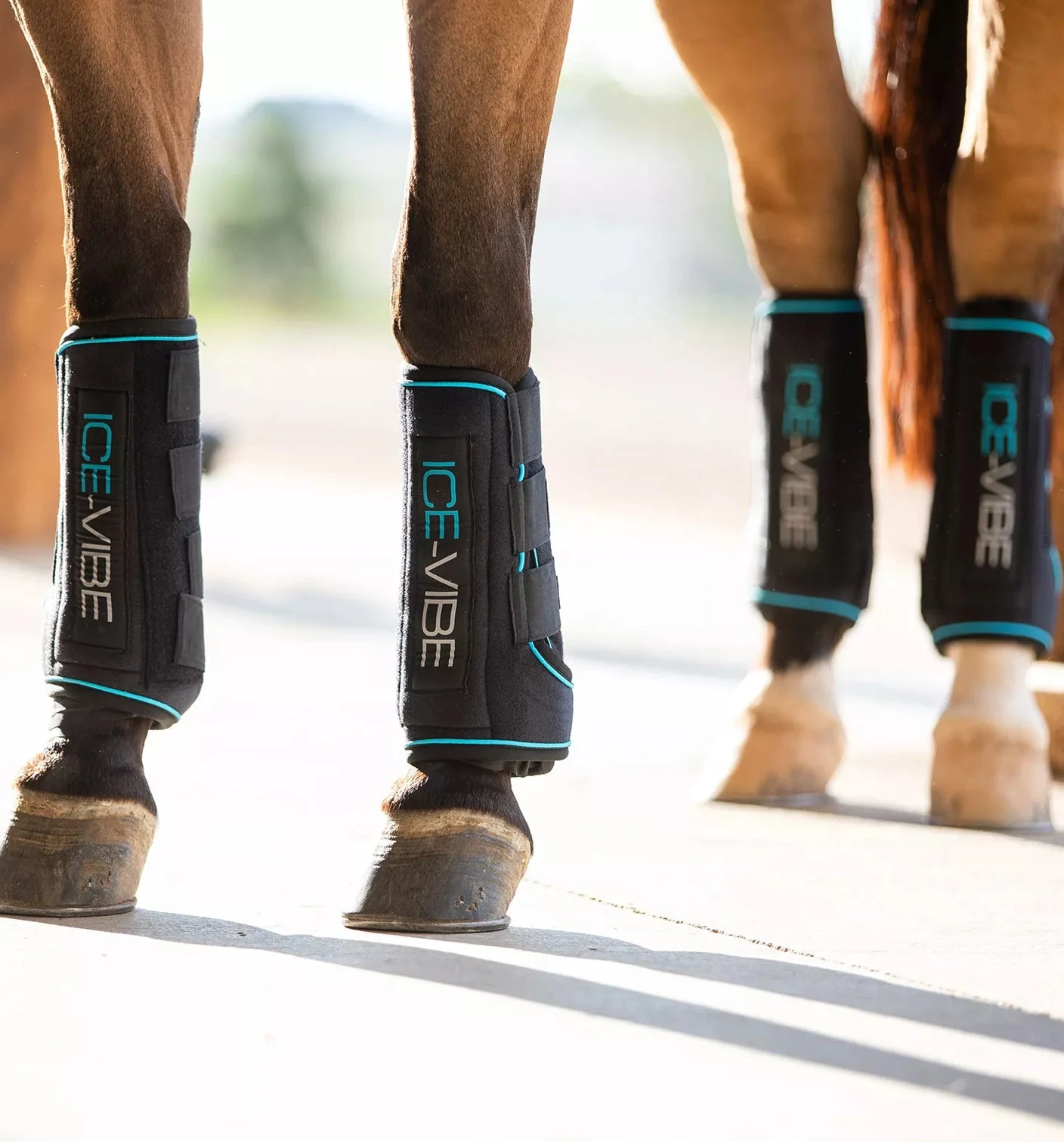 Horseware ICE-VIBE® Boots - Image 2