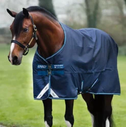 Amigo® Bravo 12 Original Turnout Sheet (0g)