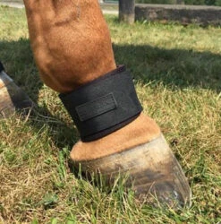 EquiFit PasternWrap™