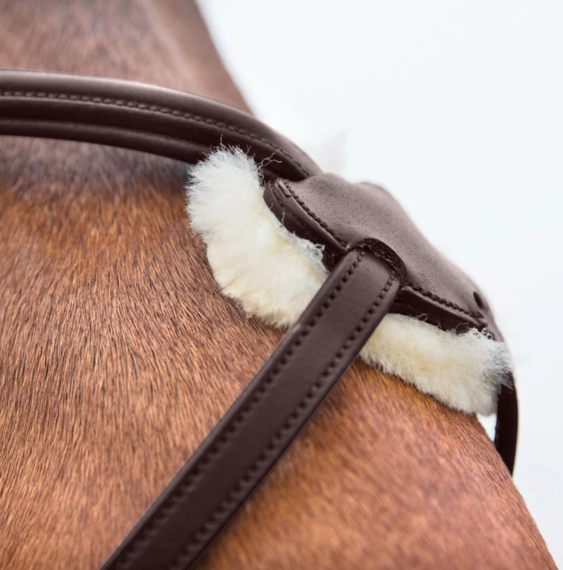 Horze Prescott Figure 8 Bridle - Image 4