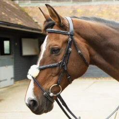 Premiere Equine Crown Figure-8 Bridle
