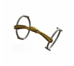 Neue Schule Turtle Top Balding